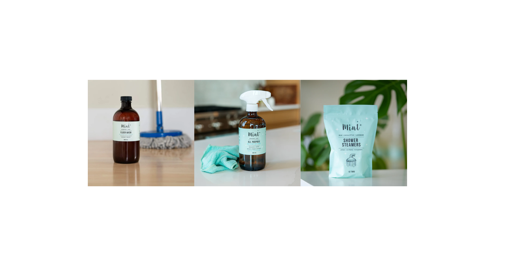 Mint Products